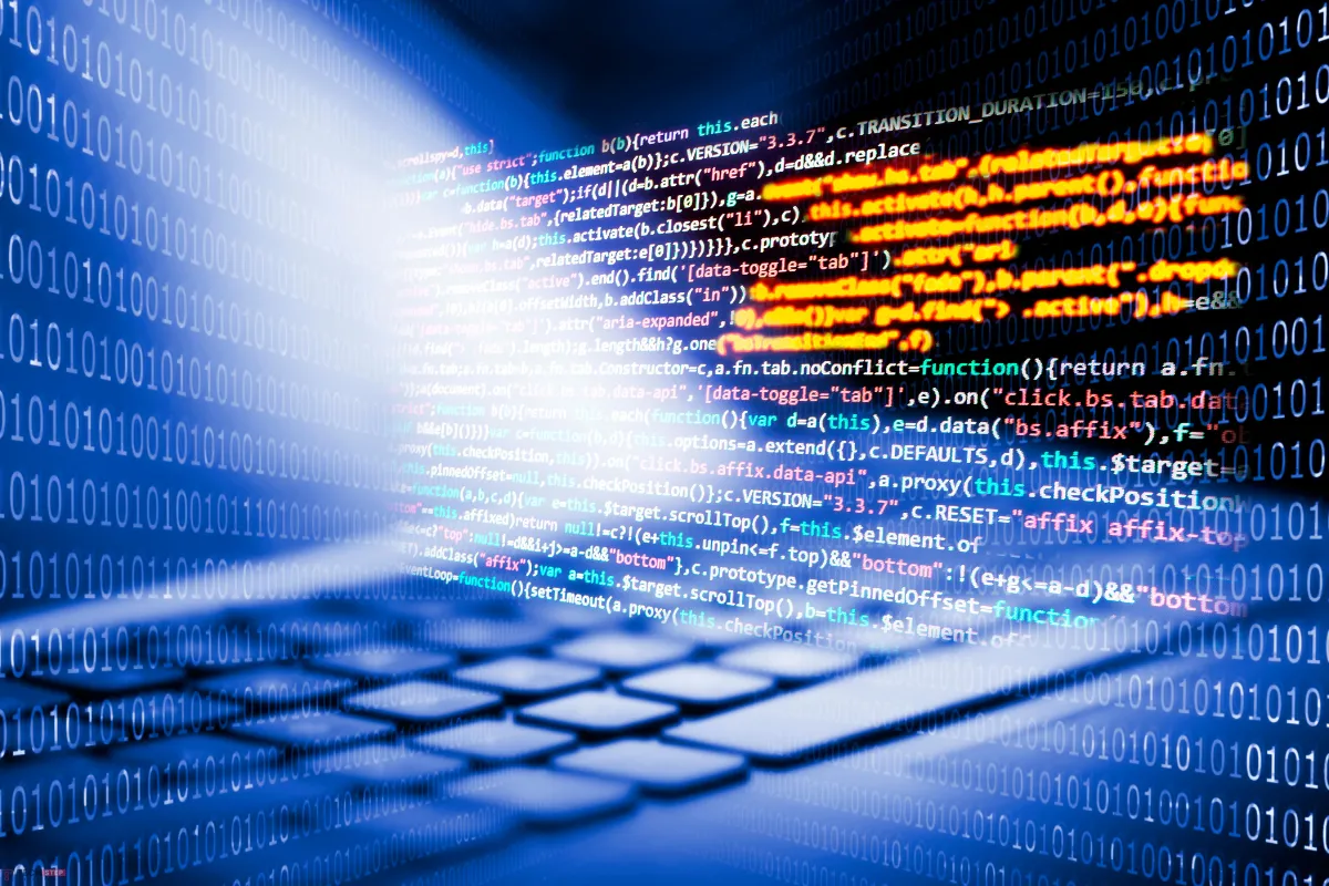 prozess webentwicklung